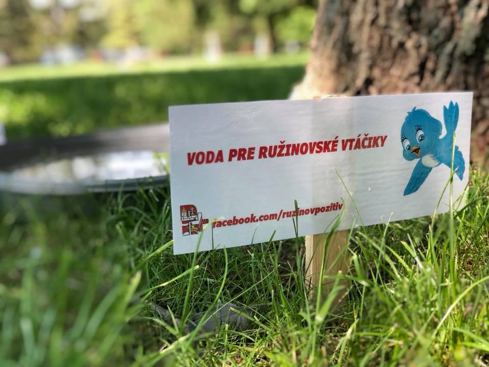 Napájadlo pre vtáčiky a ježkov