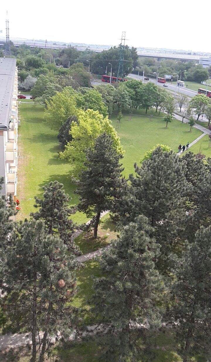 Zastavenie výstavby na zelenej lúke